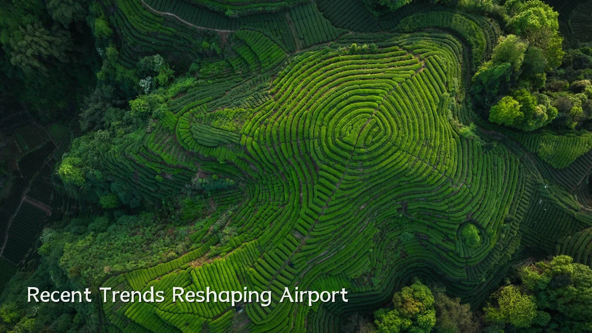 Recent Trends Reshaping Airport