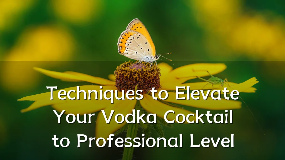 Techniques to Elevate Your Vodka Cocktail to Professional Level
