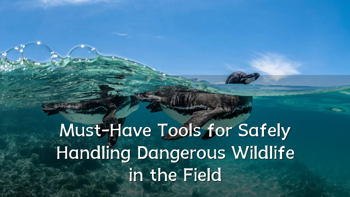 Must-Have Tools for Safely Handling Dangerous Wildlife in the Field