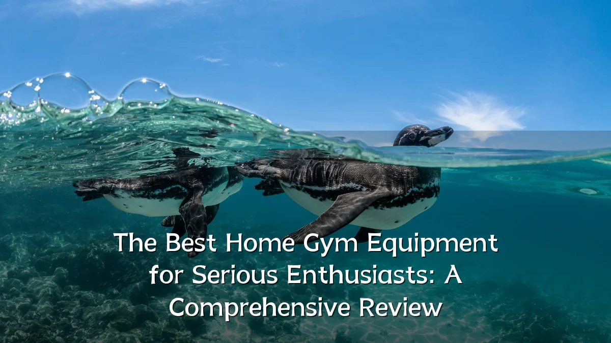 The Best Home Gym Equipment for Serious Enthusiasts: A Comprehensive Review