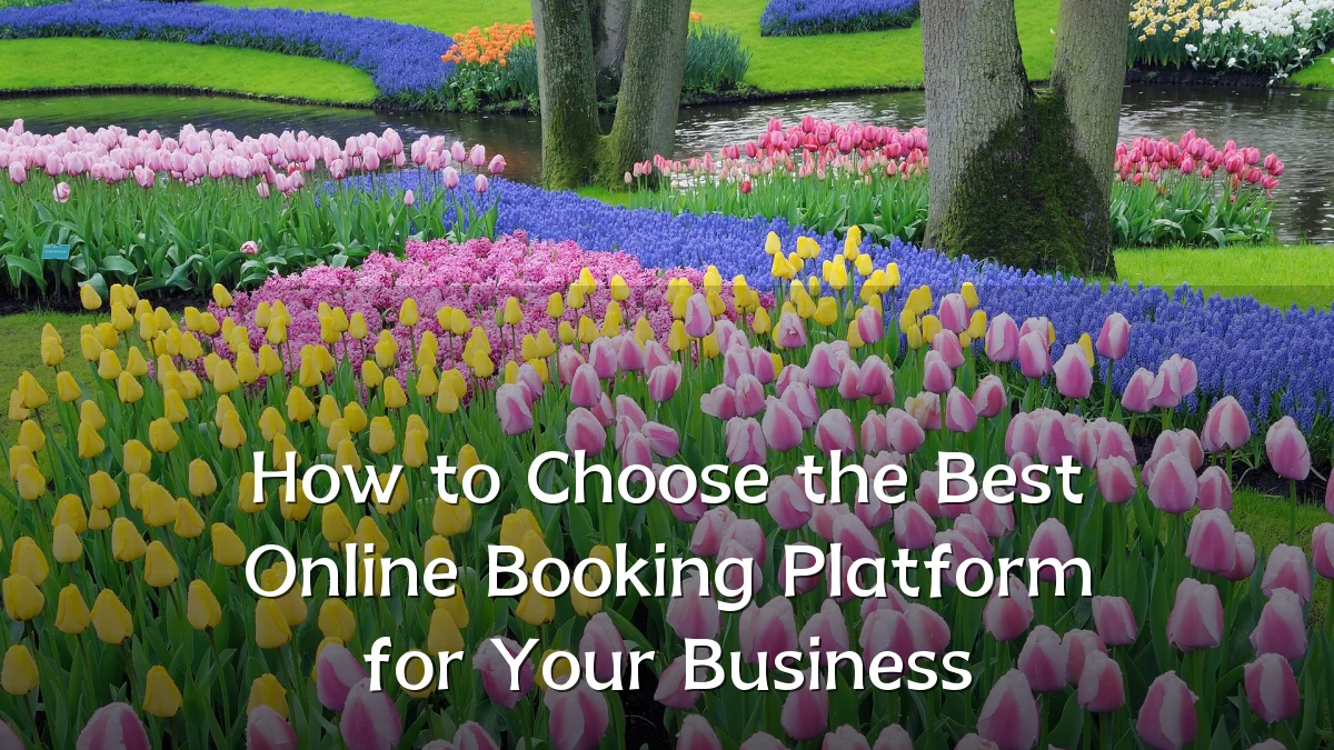 How to Choose the Best Online Booking Platform for Your Business