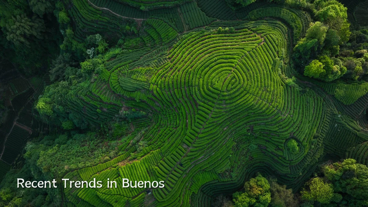 Recent Trends in Buenos