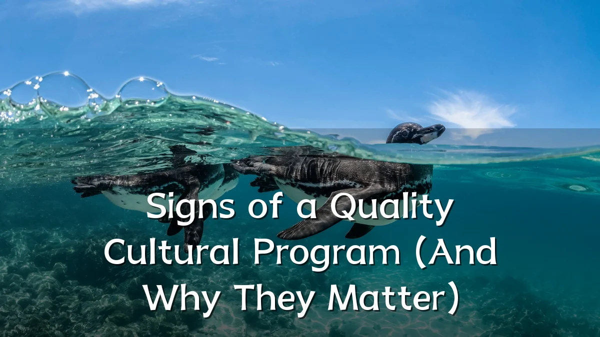 Signs of a Quality Cultural Program (And Why They Matter)