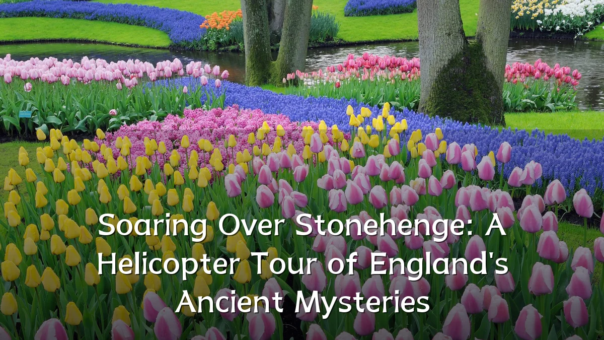 Soaring Over Stonehenge: A Helicopter Tour of England's Ancient Mysteries
