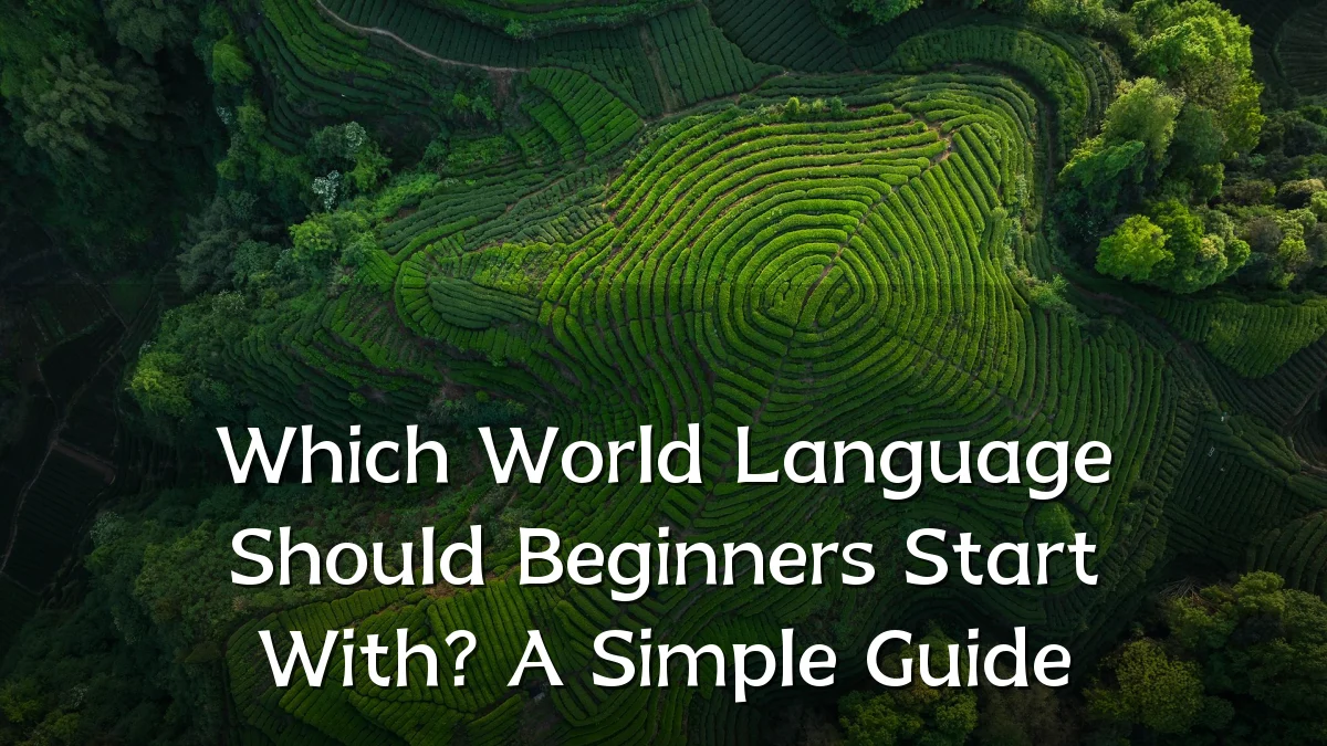 Which World Language Should Beginners Start With? A Simple Guide