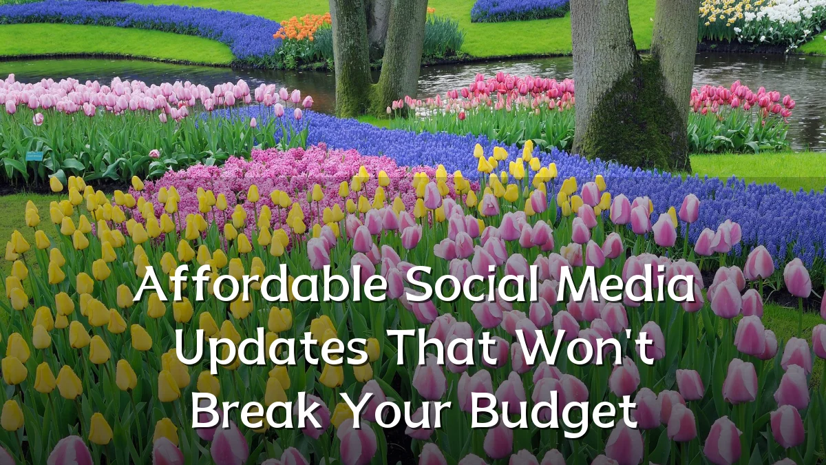 Affordable Social Media Updates That Won't Break Your Budget