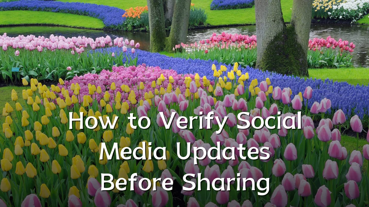 How to Verify Social Media Updates Before Sharing