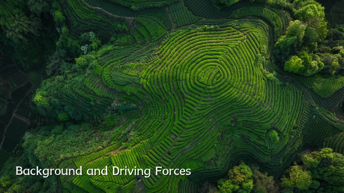Background and Driving Forces