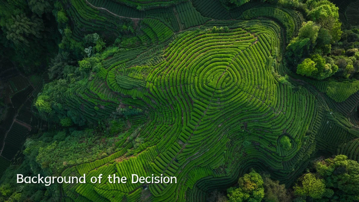 Background of the Decision