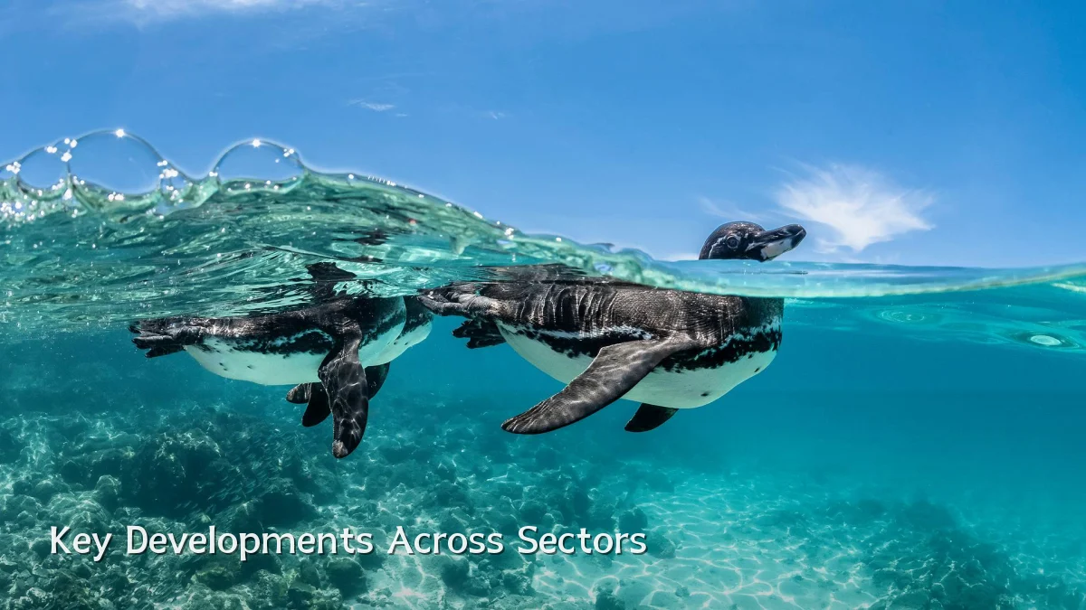 Key Developments Across Sectors