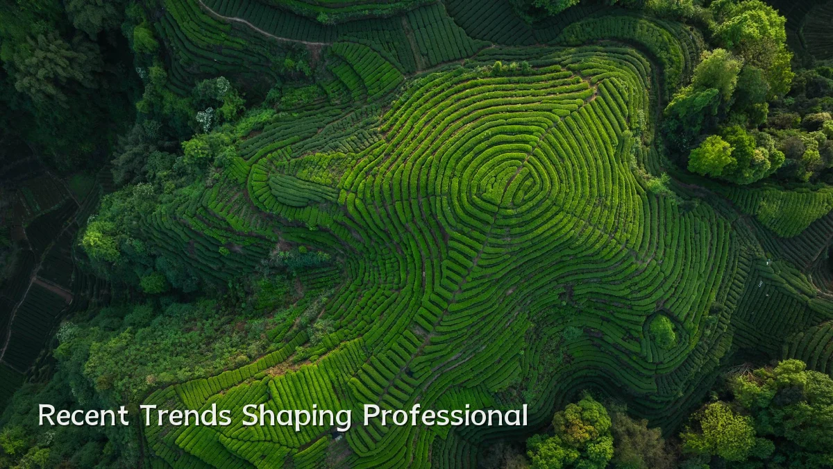 Recent Trends Shaping Professional