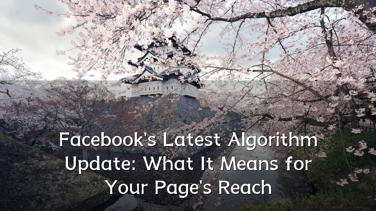 Facebook's Latest Algorithm Update: What It Means for Your Page's Reach