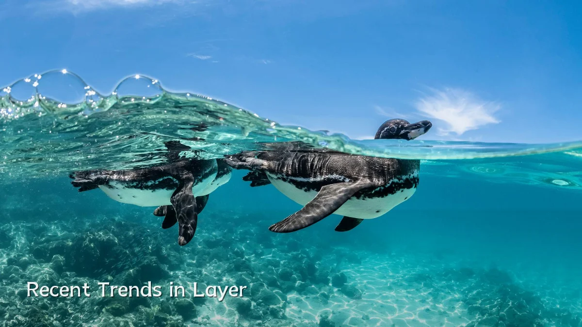 Recent Trends in Layer