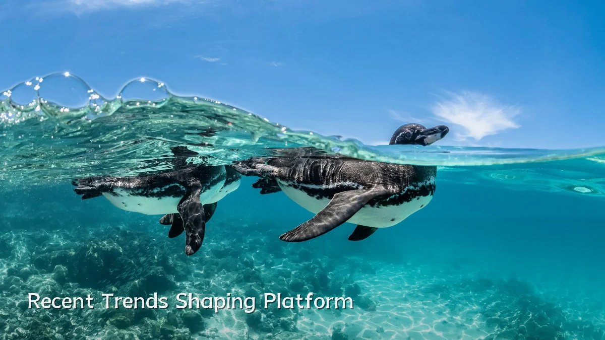 Recent Trends Shaping Platform