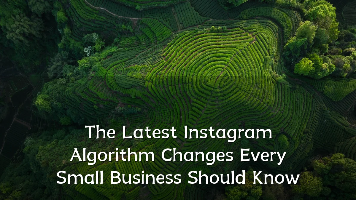 The Latest Instagram Algorithm Changes Every Small Business Should Know