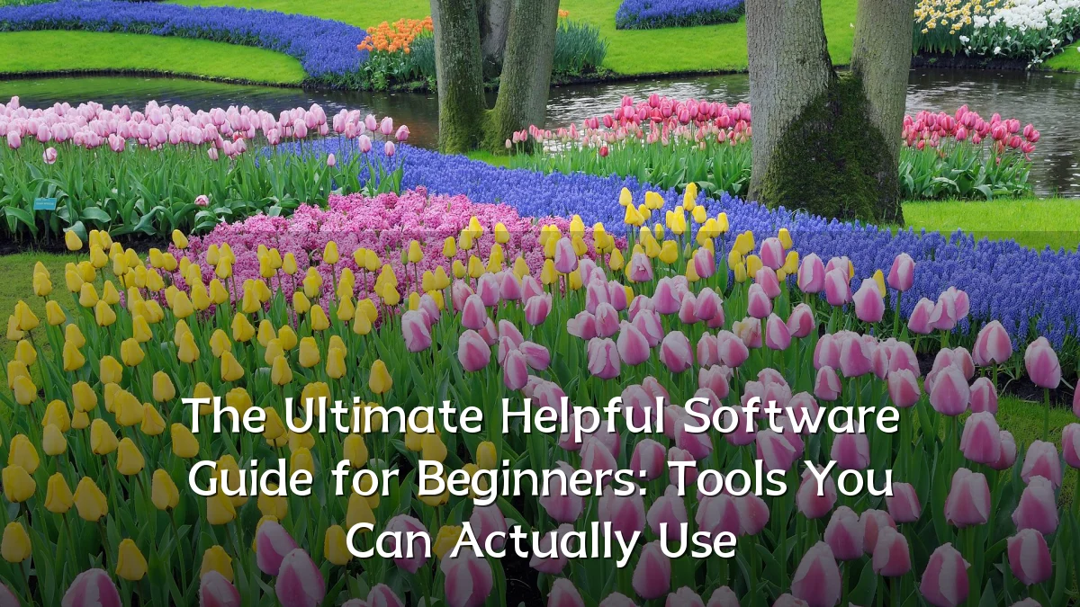 The Ultimate Helpful Software Guide for Beginners: Tools You Can Actually Use