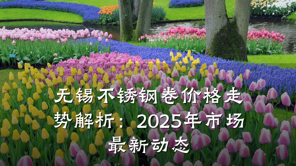 无锡不锈钢卷价格走势解析:2025年市场最新动态