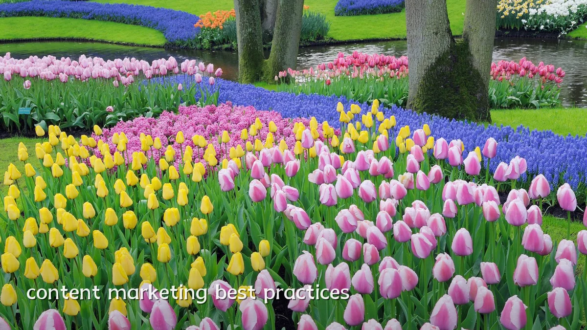 content marketing best practices
