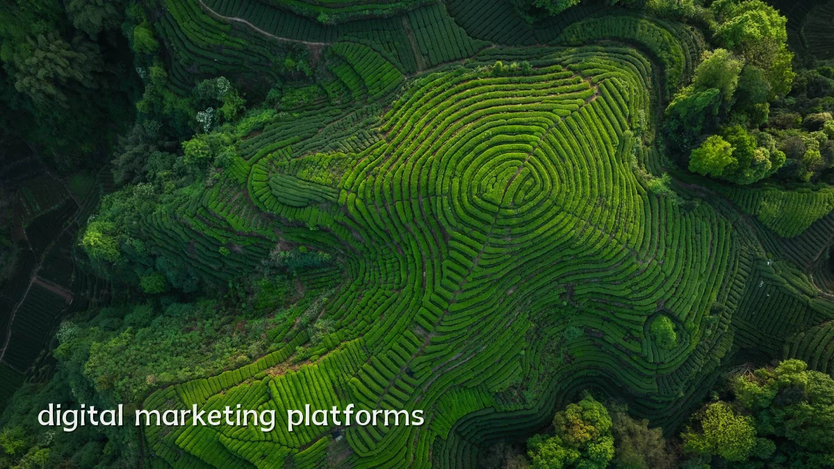digital marketing platforms