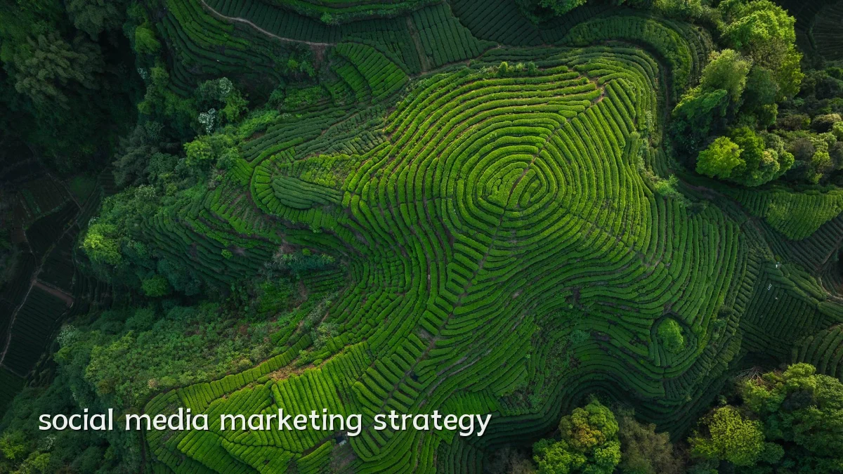 social media marketing strategy