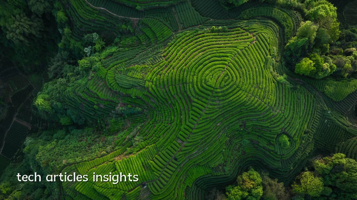 tech articles insights