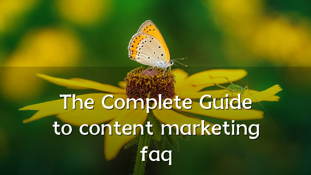 The Complete Guide to content marketing faq