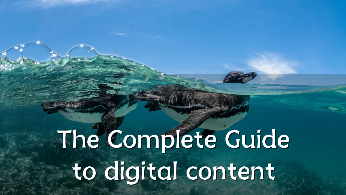 The Complete Guide to digital content