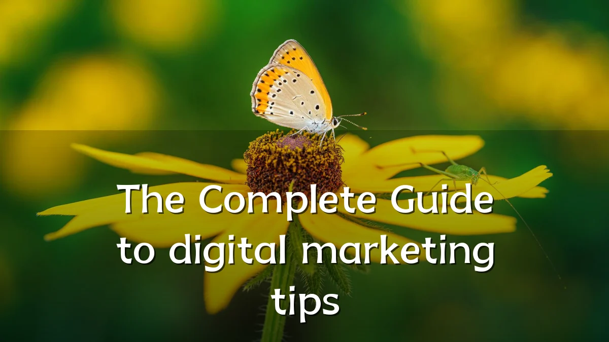 The Complete Guide to digital marketing tips