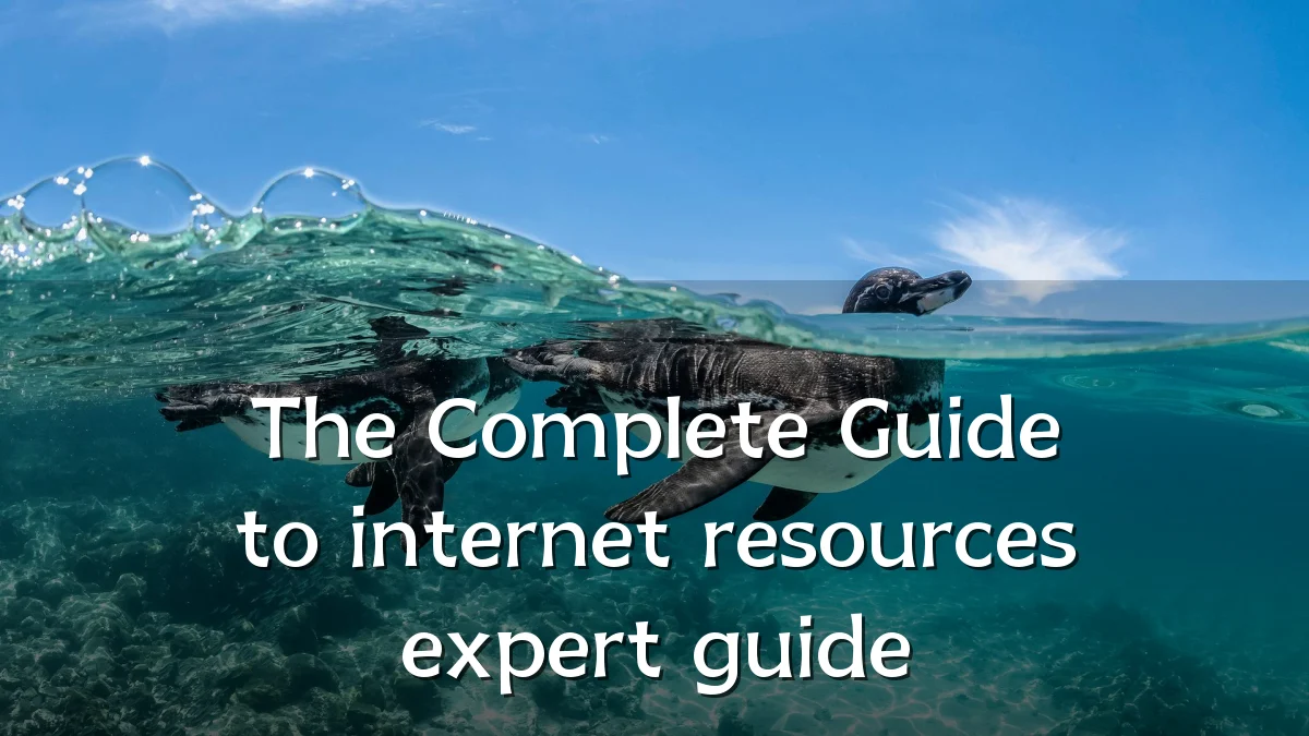The Complete Guide to internet resources expert guide