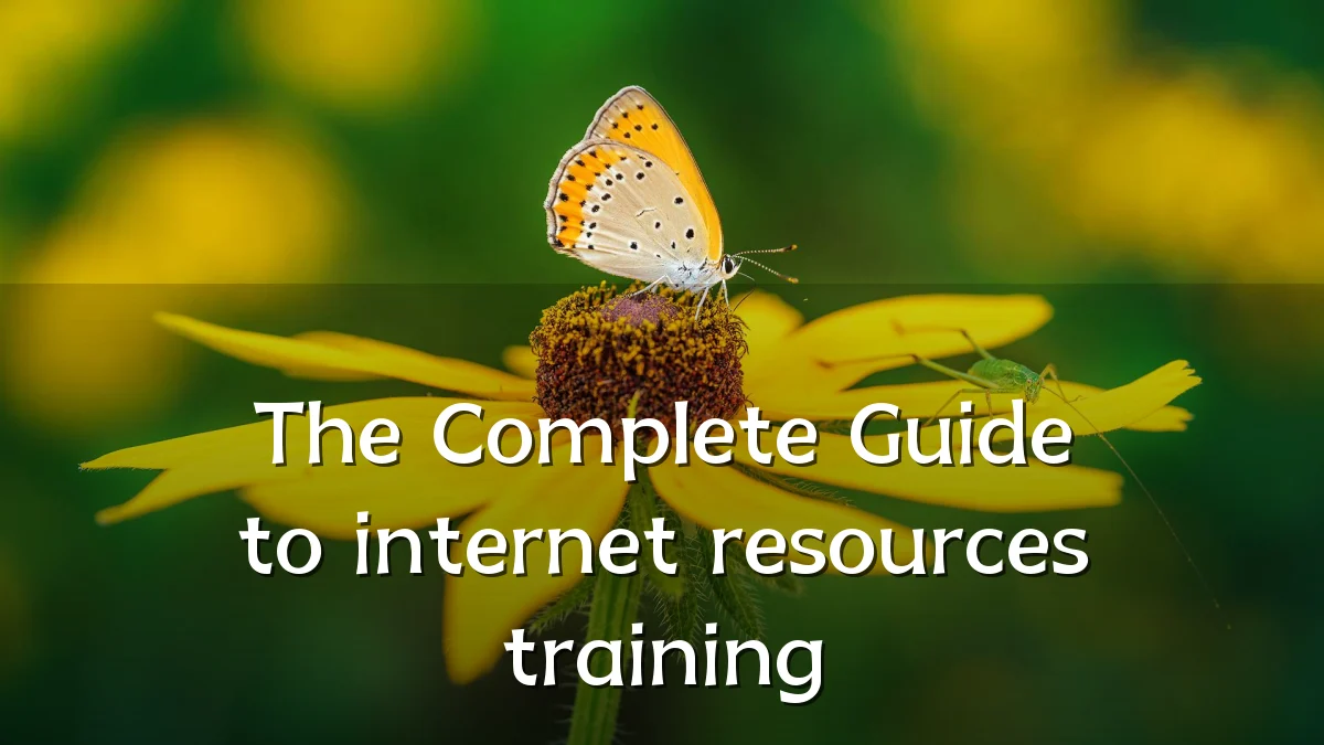 The Complete Guide to internet resources training