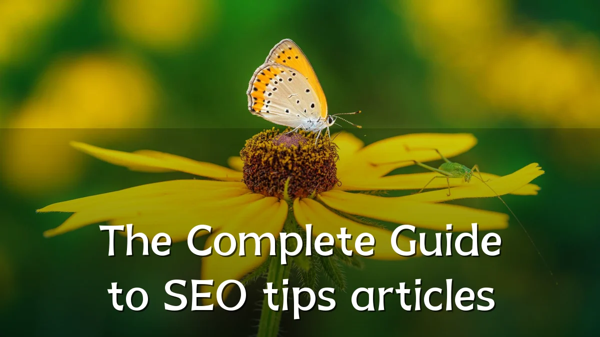 The Complete Guide to SEO tips articles