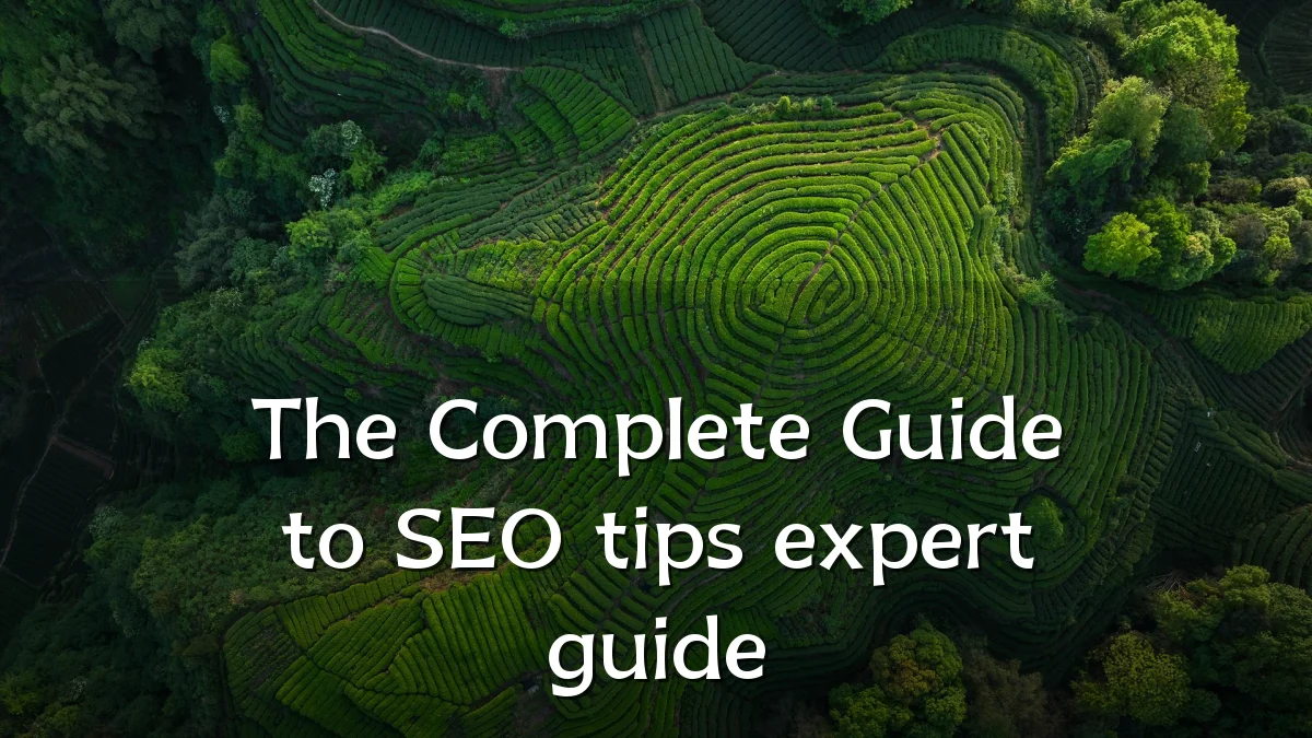 The Complete Guide to SEO tips expert guide
