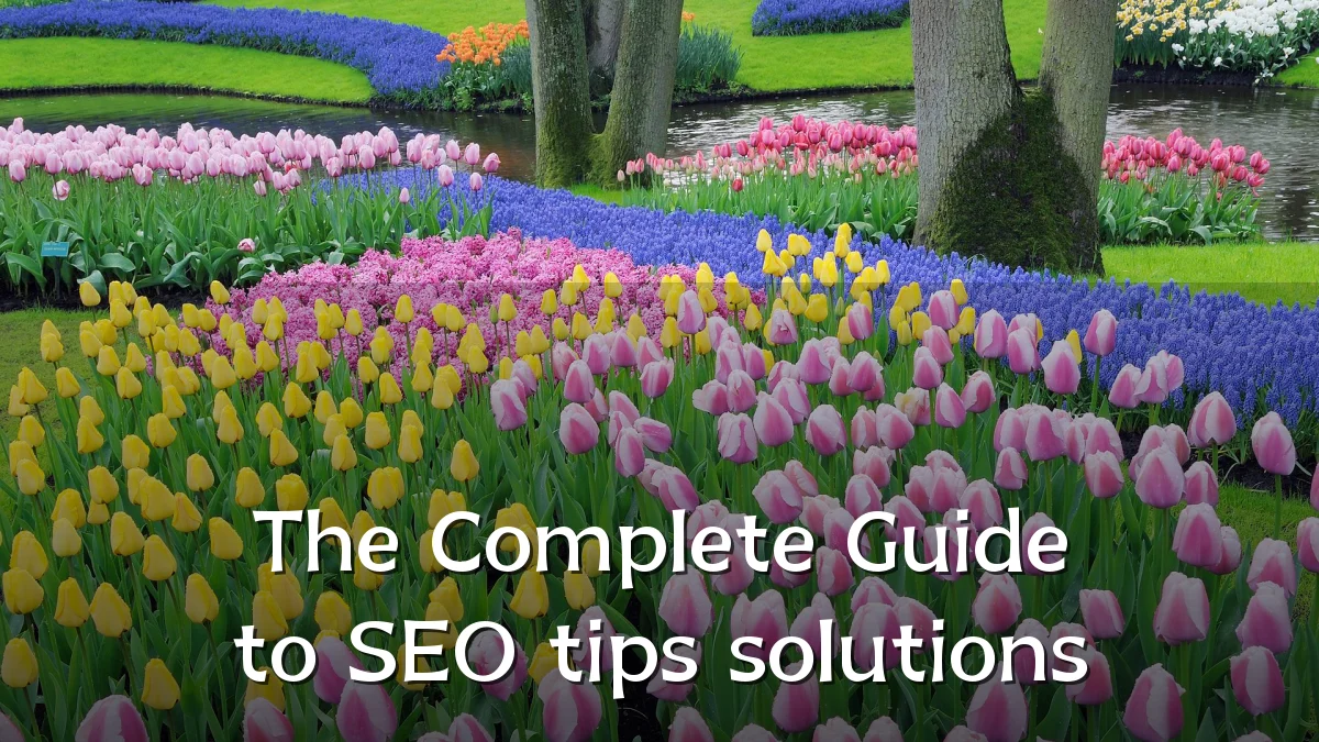 The Complete Guide to SEO tips solutions