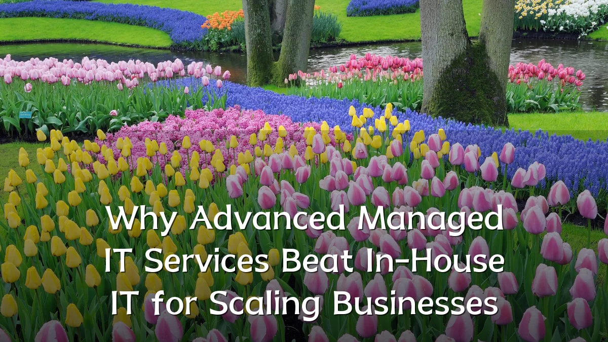 Why Advanced Managed IT Services Beat In-House IT for Scaling Businesses